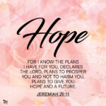 Hope Bible verse artwork with soft pink floral watercolor background, featuring the quote “For I know the plans I have for you, declares the Lord” from Jeremiah 29:11.